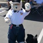 AAACarshow_0021 (June 14, 2014)